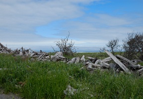 Walking towards Benson Beach (in Cape Disappointment State Park) from our camp site