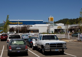 On our way to visit the cheese  and  ice cream factory in Tillamook