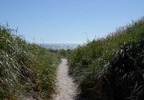 Going to the beach at Nehalem Bay