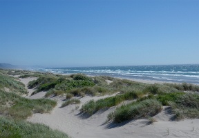 The dunes and the beach at Nehalem Bay state park