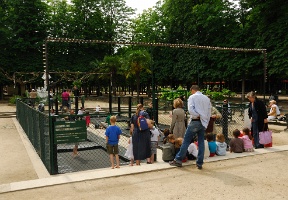 Next stop:  trampolines