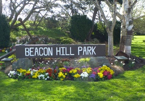 Visiting Beacon Hill Park in downtown Victoria