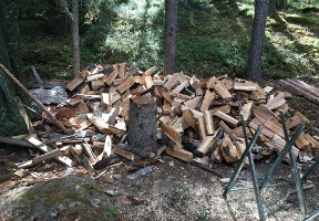Amy and I chopped some firewood