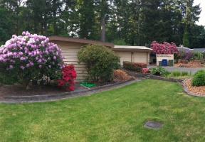 Flowers blooming in our yard around Memorial Day weekend