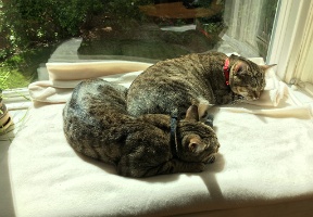 20170610 224454292 iOS