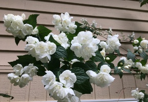 20170617 234719765 iOS