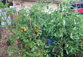 20170811 013208258 iOS