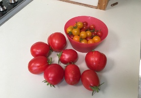 20170813 203813805 iOS