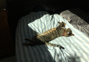 20171003 184649825 iOS