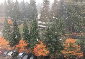 20171103 204515722 iOS