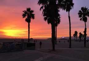 Had to go to LA in mid-November to renew my passport. This is part of the beach in Santa Monica.