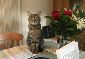 20171223 181056534 iOS